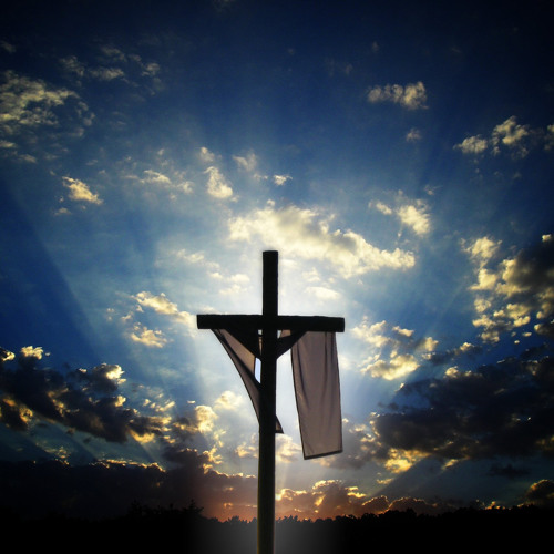 illuminate: illuminate (feat. ravi zacharias, kai nielsen) -excerpt-