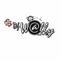 Dj Wally- Titanium_Rick Ross Mash_Up