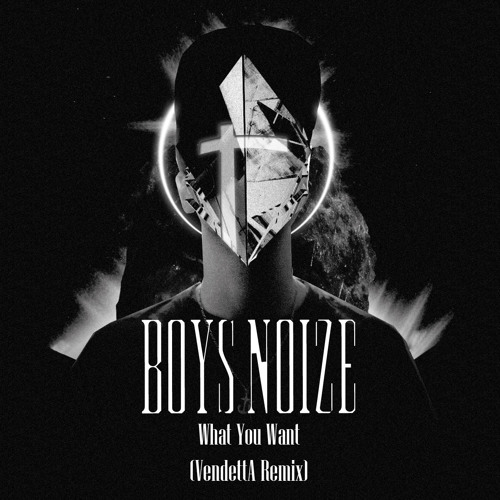 Boys Noize - What You Want (VendettA Remix)