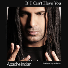 Apache Indian - If I Can't Have You [New Single 2012]