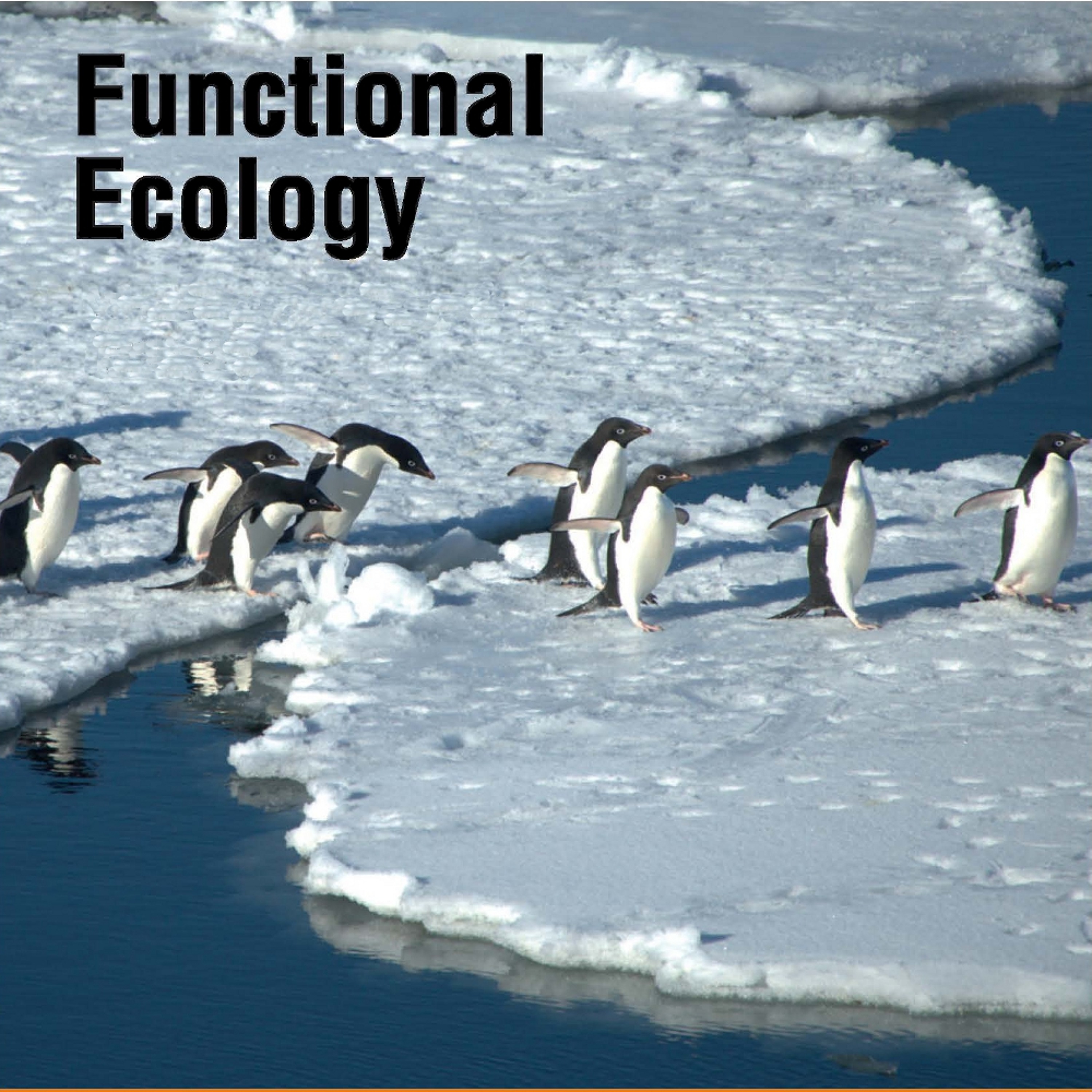 Functional Ecology