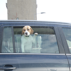 Signals and Systems - Experimental