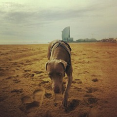 Mica - Live @ W, Barcelona - November 2012