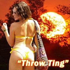 Throw Ting (CYBER SOCA 2013)
