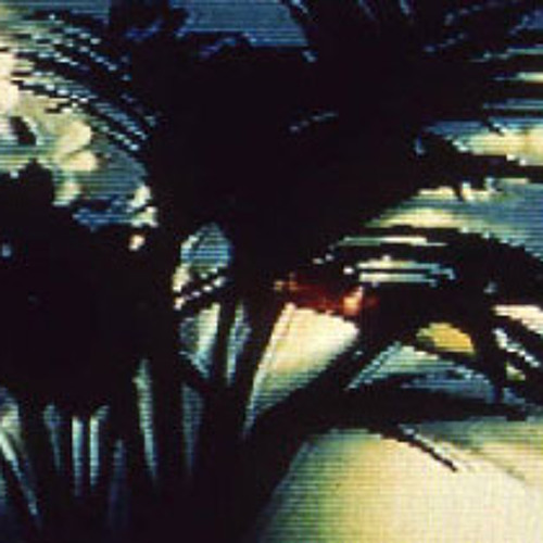 Programme 006 - Plant Consciousness & Communication