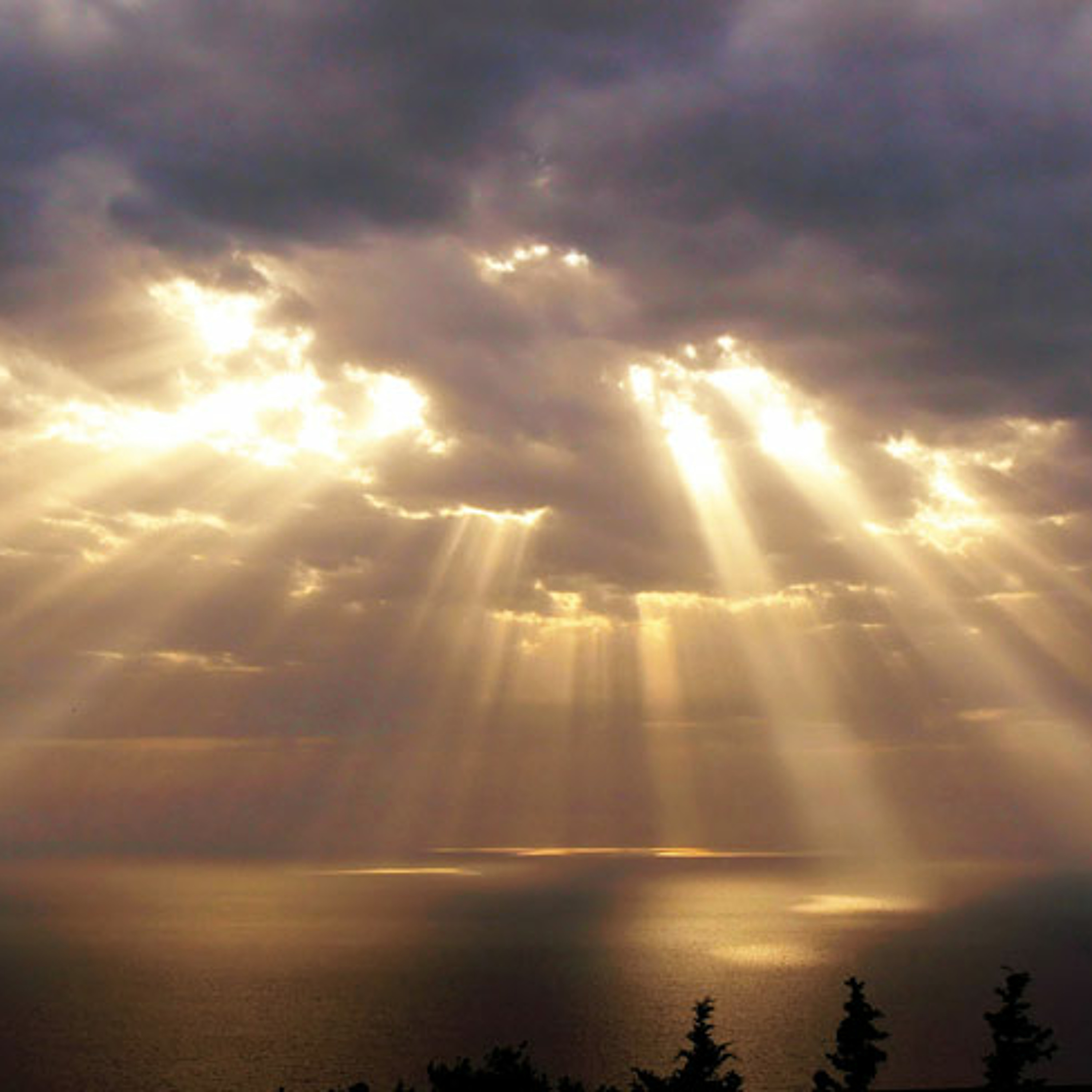 A Loving Light