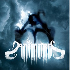 Animorg - Infinium