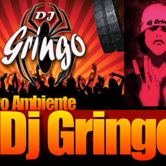 Dj Gringo Merengue mix