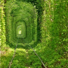 My Names Not MAA It's MULLET!