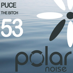 Puce - Search The Bitch EP (incl. A.D.M. and Mend Remixes) PLN053
