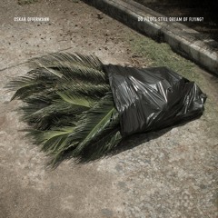 Oskar Offermann - "Do Pilots Still Dream Of Flying?" (Debut Album)