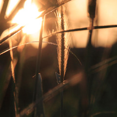 A Thousand Years (Piano version)