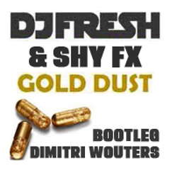 Dj Fresh & Shy Fx - Gold Dust (Dimitri Wouters Mashup)