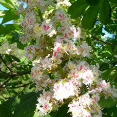 After sun comes the rain