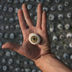 I SALICI - Eyes in Windows