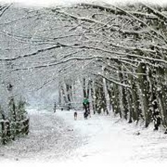 dj badbones live show mhr