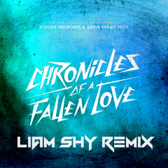 Chronicles Of A Fallen Love (Liam Shy RMX)