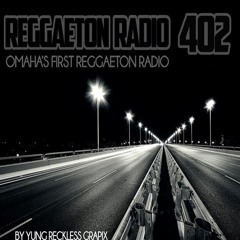 17. Alkapon Y Falkon Ft Nengo Flow, Emil, Gotay, Alex, - Perra Remix