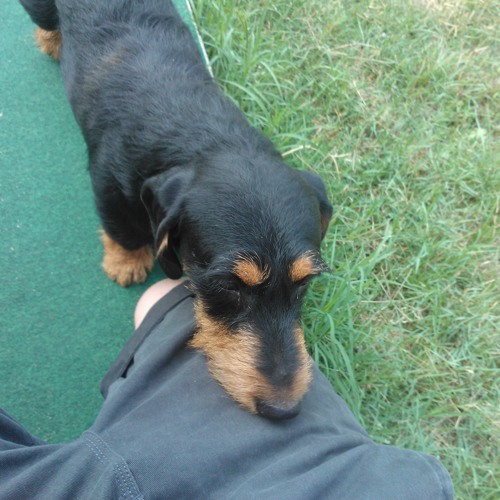 DANKLE - Dont Be A Pussy