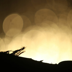 Mononesie - Translation