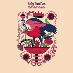 Birdy Nam Nam - Defiant Order (UZ Remix)