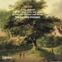 01 Clarinet Quintet in B-flat major J.182 - I. Allegro