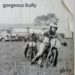 Gorgeous bully - beauty don't give a shit