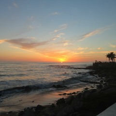 La Playa - La oreja de Van Gogh (Cover)