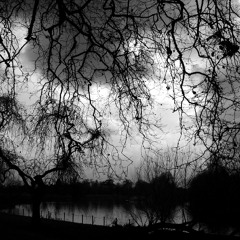 Dark Poison - Bohemio Prod Antraz Mastering