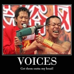 voices in my head ft money mann