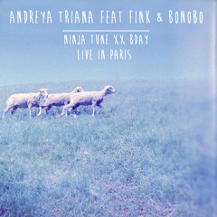 Andreya Triana feat Fink & Bonobo live in Paris @ Ninja Tune XX bday - If You Stayed Over