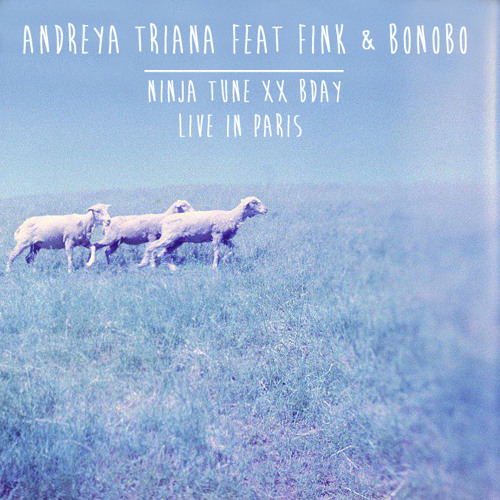 Andreya Triana feat Fink & Bonobo live in Paris @ Ninja Tune XX bday - If You Stayed Over