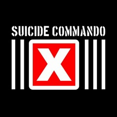suicide commando IIXIII my blasphemy (mp3 snippet)