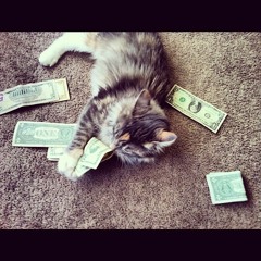 Cash Makes the Pussy Go Whoop Whoop