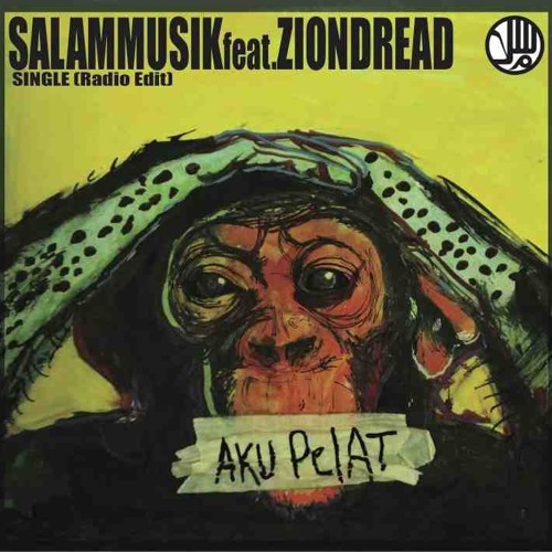 Aku Pelat (Radio Edit)