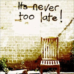 Clear Vu - Never Too Late (Chaos Remix) (Clip)