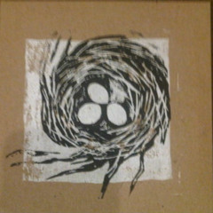 Skylight Vapour Trail