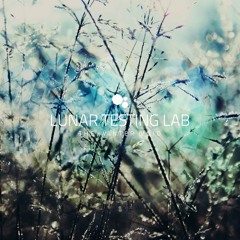 Lunar Testing Lab-The Winter Void