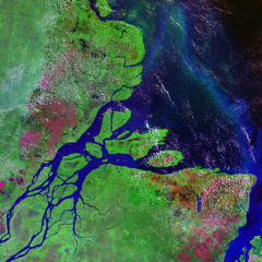 Delta river rain II