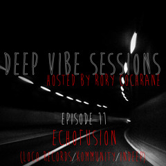 DE Radio // Deep Vibe Sessions Episode 11 With Echofusion (Loco Records/Kommunity)