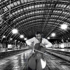 Fly with my Cello