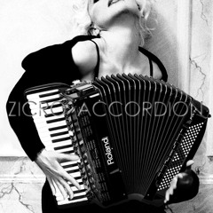 Madonna - Justify My Love 2013 (Zicro Accordion Instrumental Mix Cover)
