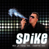 Spike - Ale Ja Nigdy Nie Ogarnę Się (DJ Crash & Selini Extended Rmx)