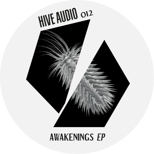 Hive Audio 012 - Fly O Tech - Funk me Down