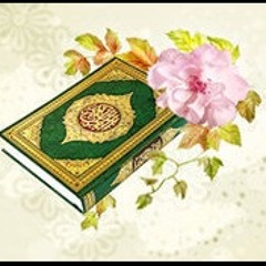 شيخ أدريس أبكر - سورة نوح