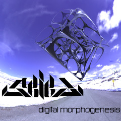 SEIED - INFORMATION POWER