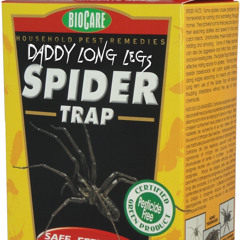 Spider Trap