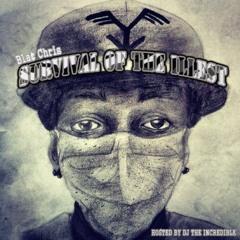 Fake Nigga Feat. NhT Boyz (Prod. By DJ The Incredible)