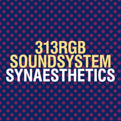 313RGB Soundsystem MBN—SN Bass Mix