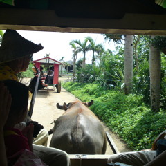 まるまぶんさん～殿様節